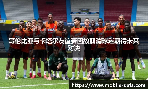 哥伦比亚与卡塔尔友谊赛因故取消球迷期待未来对决