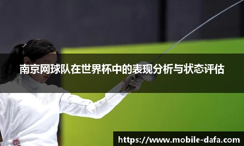 南京网球队在世界杯中的表现分析与状态评估